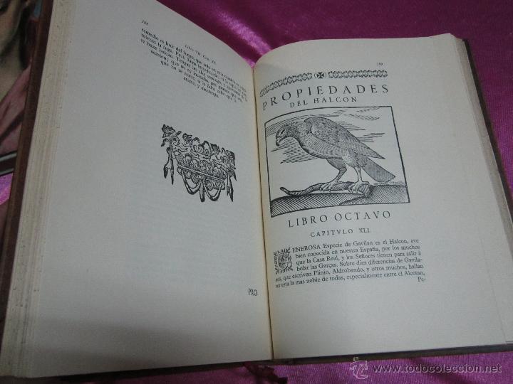 Libros de segunda mano: GOBIERNO GENERAL DE LAS AVES 1696 FACSIMIL EDICION DE SOLO 224 LIBROS. L17 - Foto 11