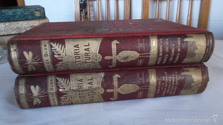 Libros de segunda mano: libro historia natural ODON DE BUEN - Foto 1