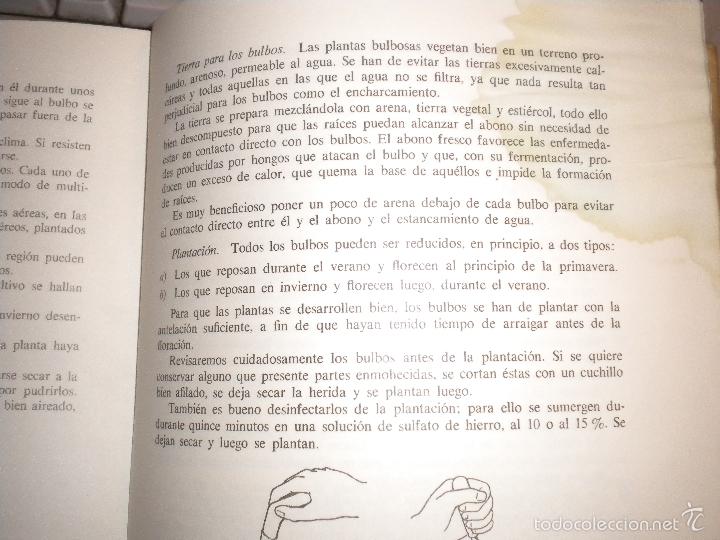 Libros de segunda mano: Construccion cuidados y reparaciones del hogar / W.P. Matthew - Foto 2