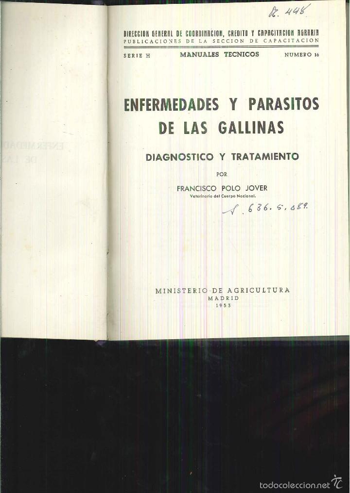 Gebrauchte B&uuml;cher: ENFERMEDADES Y PAR&Aacute;SITOS DE LAS GALLINAS. Francisco Polo Jover