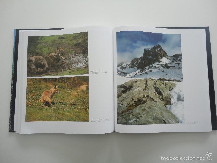 Libros de segunda mano: Libro Parques Nacionales de Espa&ntilde;a - Foto 4