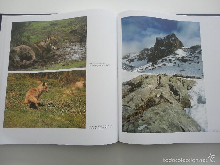 Libros de segunda mano: Libro Parques Nacionales de Espa&ntilde;a - Foto 5