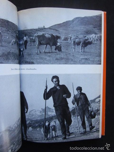 Libros de segunda mano: Eliseo Bayo: En la pendiente, Destino, 1968 - Foto 4