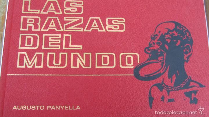 Libros de segunda mano: LAS RAZAS DEL MUNDO DE AUGUSTO PANYELLA (RODEGAR) - Foto 1