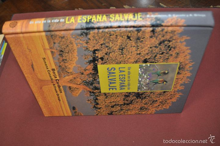 Libros de segunda mano: Un a&ntilde;o en la vida de la espa&ntilde;a salvaje - borja cardel&uacute;s - FFB - Foto 2