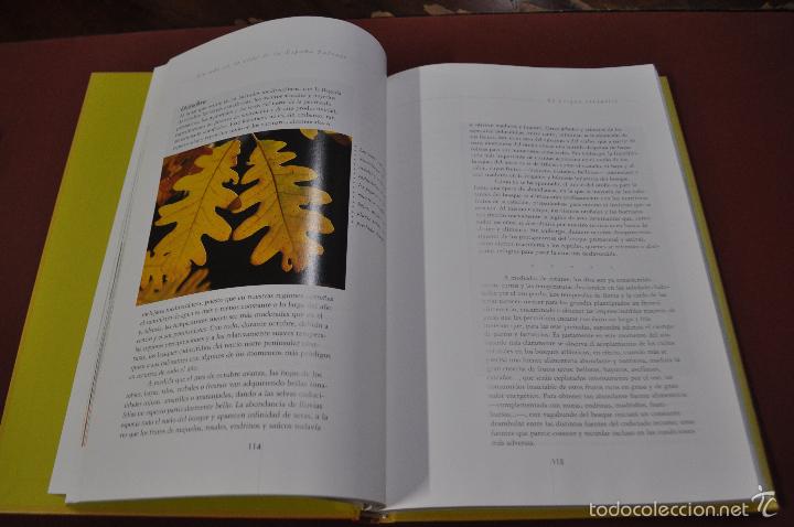 Libros de segunda mano: Un a&ntilde;o en la vida de la espa&ntilde;a salvaje - borja cardel&uacute;s - FFB - Foto 3
