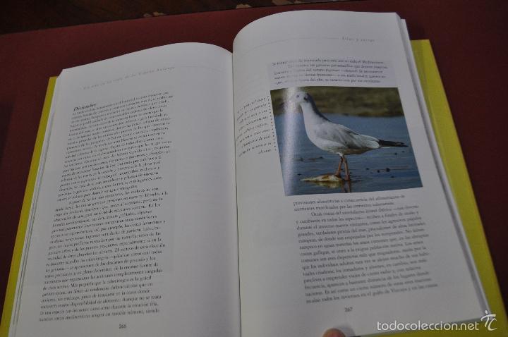Libros de segunda mano: Un a&ntilde;o en la vida de la espa&ntilde;a salvaje - borja cardel&uacute;s - FFB - Foto 4