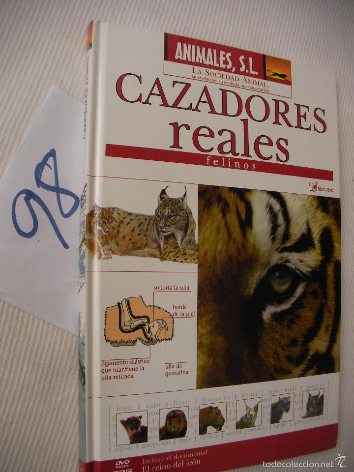 Libros de segunda mano: LIBRO Y DVD CAZADORES REALES - FELINOS - ENVIO GRATIS A ESPA&Ntilde;A