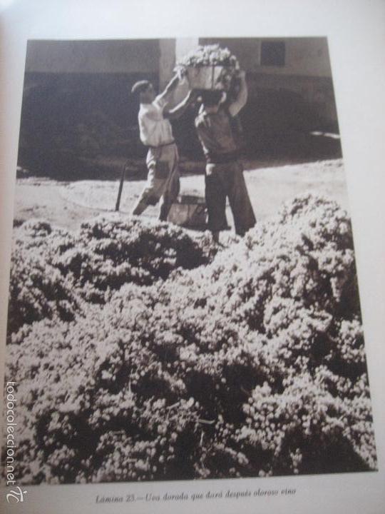 Libros de segunda mano: Sevilla en Fiestas. 1948. Luis Ortiz Mu&ntilde;oz. - Foto 7