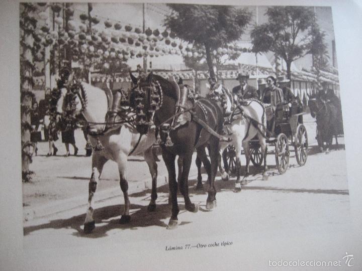 Libros de segunda mano: Sevilla en Fiestas. 1948. Luis Ortiz Mu&ntilde;oz. - Foto 13