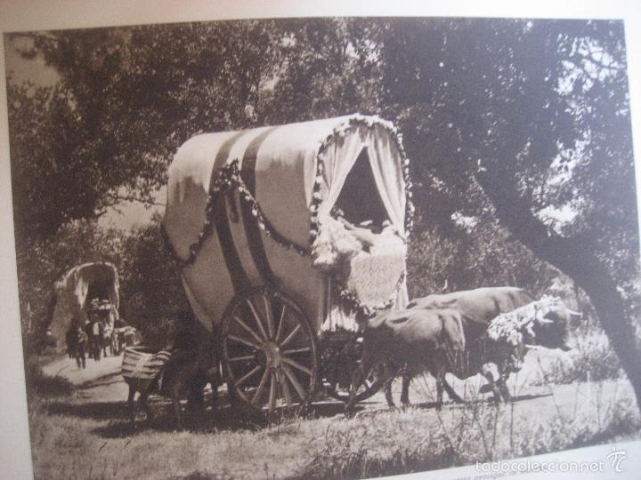 Libros de segunda mano: Sevilla en Fiestas. 1948. Luis Ortiz Mu&ntilde;oz. - Foto 15