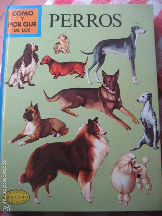 Libros de segunda mano: Como y por que de los Perros. 1971. Ed. Molino. - Foto 1