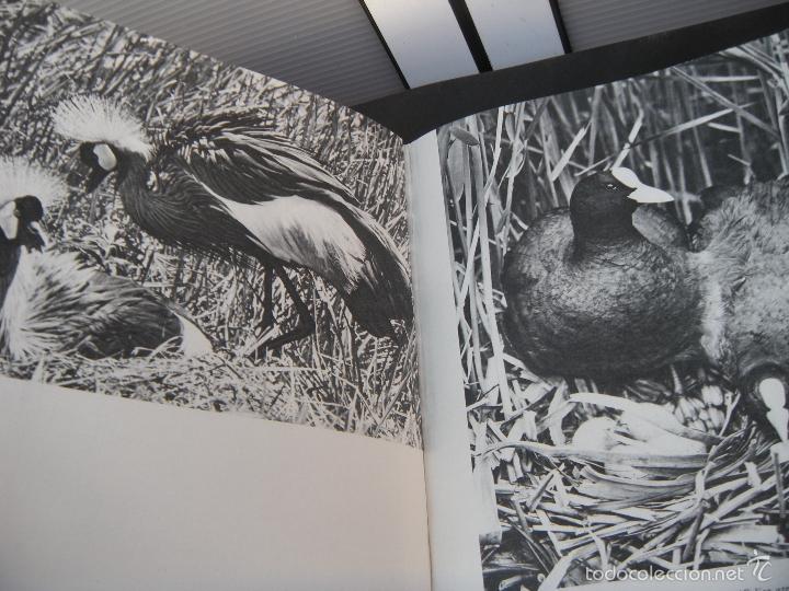 Libros de segunda mano: LA VIDA MARAVILLOSA DE LOS ANIMALES. 2 TOMOS. - Foto 3