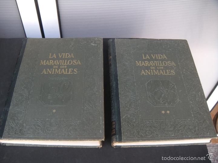 Libros de segunda mano: LA VIDA MARAVILLOSA DE LOS ANIMALES. 2 TOMOS. - Foto 6