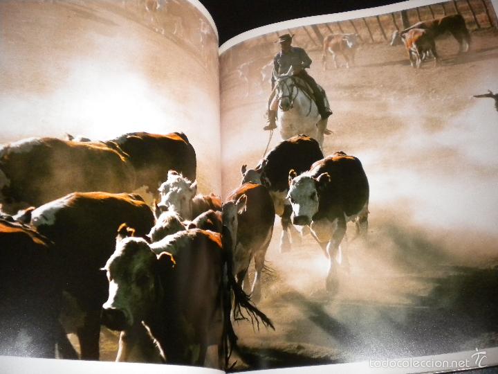 Libros de segunda mano: 2 millones de a&ntilde;os de industria alimentaria / - Foto 4