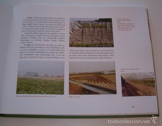 Libros de segunda mano: Galiza. O Agro. RMT74882. - Foto 2