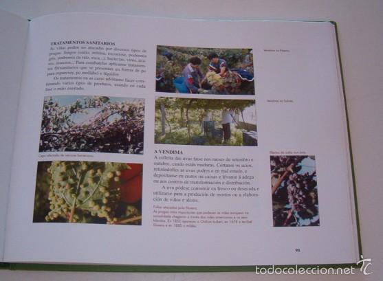 Libros de segunda mano: Galiza. O Agro. RMT74882. - Foto 3