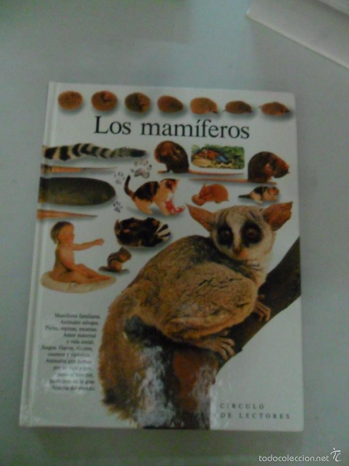 Libros de segunda mano: LOS MAM&Iacute;FEROS. STEVE PARKER. ENCICLOPEDIA VISUAL ALTEA - Foto 1