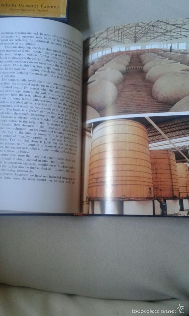 Libros de segunda mano: LIBRO MALAGA WINE TEXTO EN INGLES - Foto 3