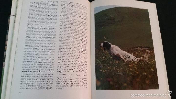Libros de segunda mano: 1967 - EL LIBRO DE LA CAZA - QUEROMO - Foto 2