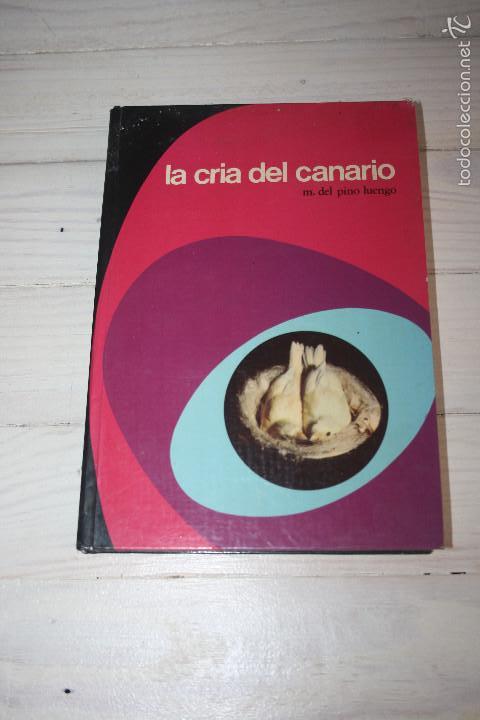 Libros de segunda mano: La cr&iacute;a del canario- m. del pino luengo - 1977 - Foto 1