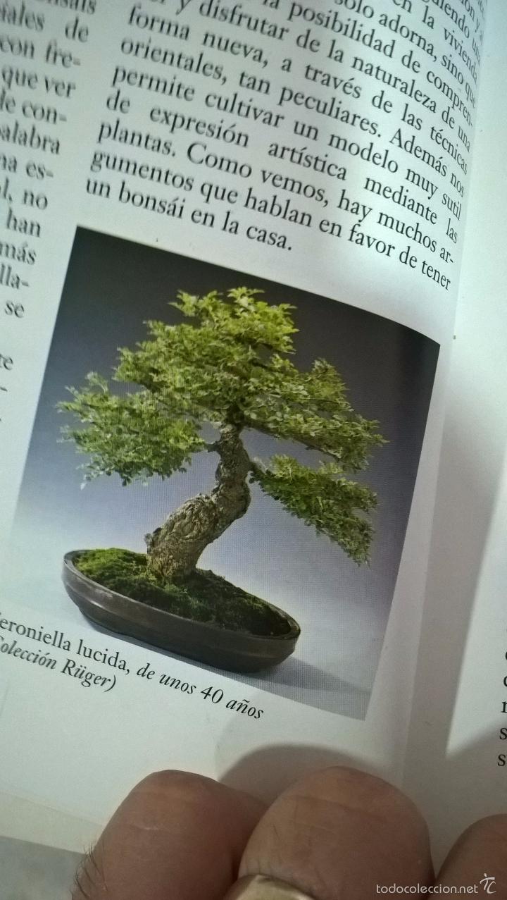 Libros de segunda mano: Werner M. Busch. Bonsai. C&oacute;mo seleccionar y cuidar bonsais. - Foto 6