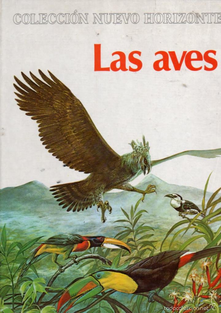 Libros de segunda mano: LAS AVES - NUEVO HORIZONTE MOLINO, 1978 - COMO NUEVO - Foto 1
