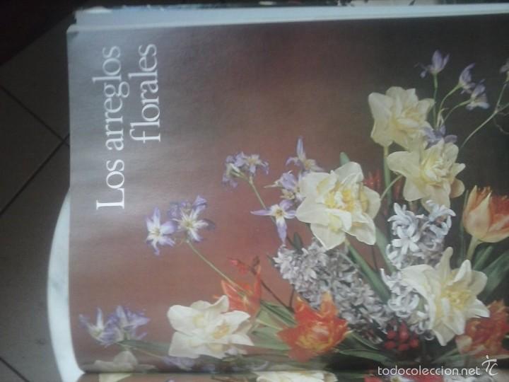Libros de segunda mano: FLORES Y PLANTAS EN CASA - VIOLET STEVENSON . - Foto 2