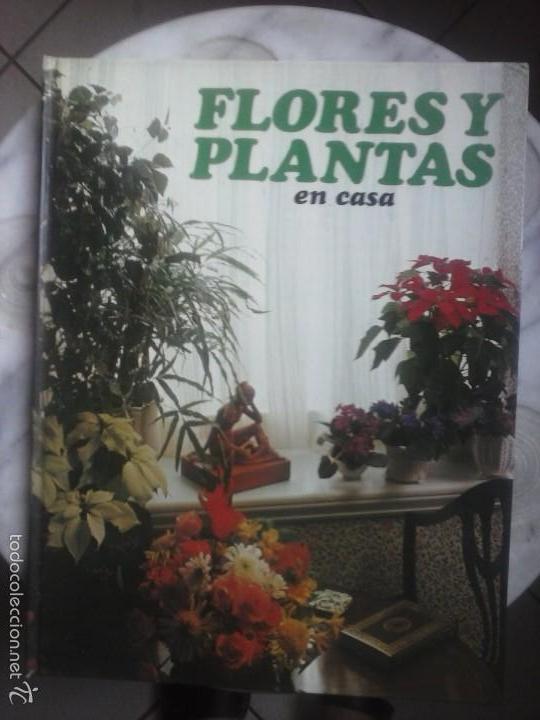 Libros de segunda mano: FLORES Y PLANTAS EN CASA - VIOLET STEVENSON . - Foto 1