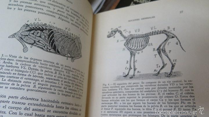 Libros de segunda mano: EL PERRO DE RAZA. BOMMIER - Foto 6