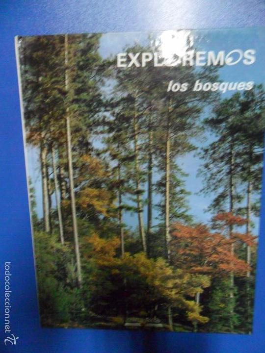 Libros de segunda mano: Exploremos - Los bosques - Edelvives - Foto 1