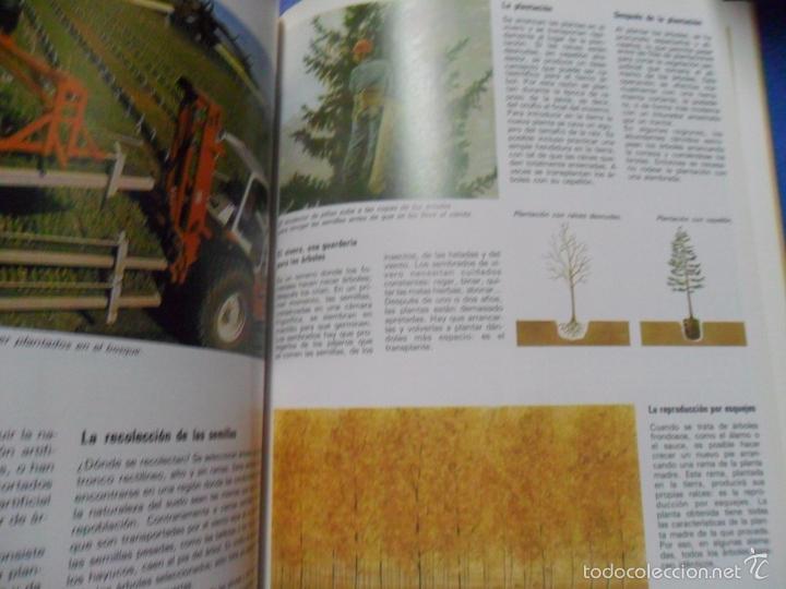 Libros de segunda mano: Exploremos - Los bosques - Edelvives - Foto 2