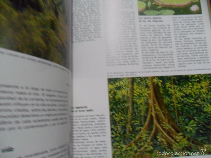 Libros de segunda mano: Exploremos - Los rios - Edelvives - Foto 2
