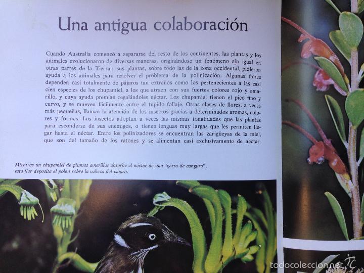Libros de segunda mano: LIBRO EDITORIAL SELECCIONES DEL READERS DIGEST - Foto 4
