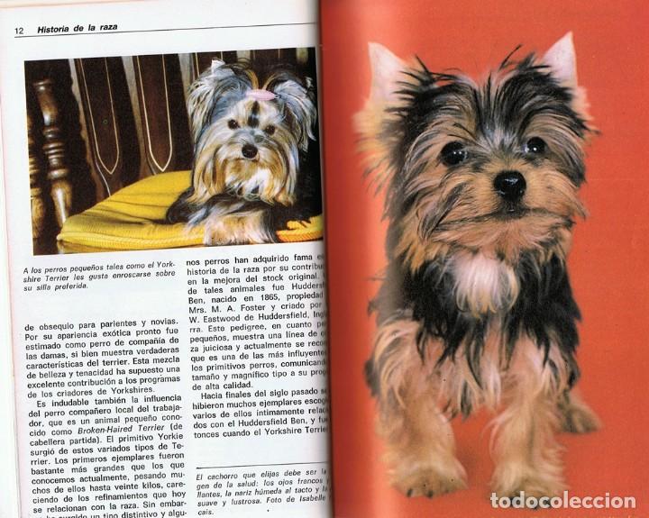 Libros de segunda mano: EL YORKSHIRE TERRIER K. DONNELLY - Foto 2