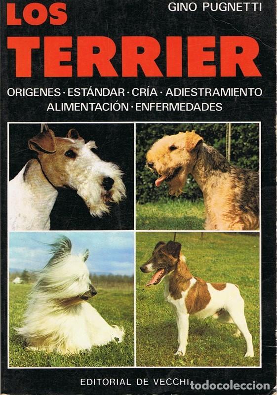 Libros de segunda mano: LOS TERRIER  GINO PUGNETTI - Foto 1