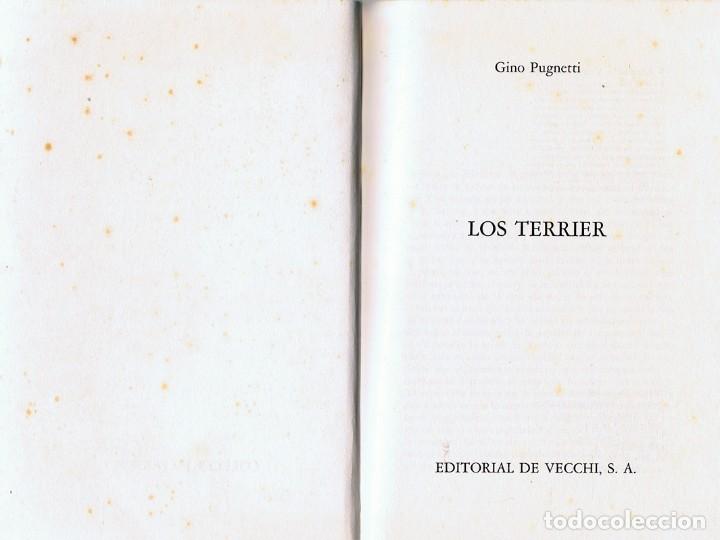 Libros de segunda mano: LOS TERRIER  GINO PUGNETTI - Foto 2
