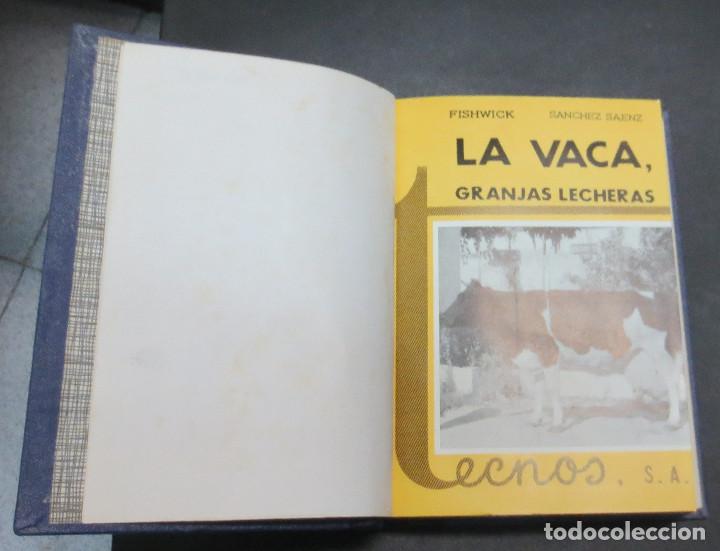 Libros de segunda mano: LA VACA, GRANJAS LECHERAS W.C. FISHWICK E. S&Aacute;NCHEZ SAENZ EDITORIAL TECNOS A&Ntilde;O 1964 - Foto 3