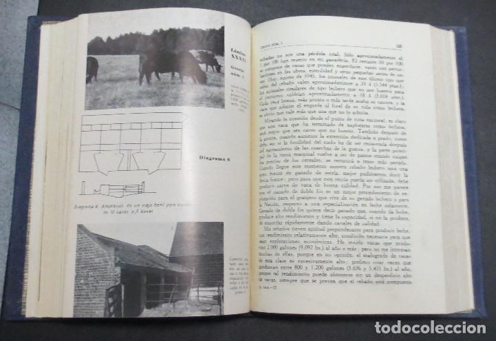 Libros de segunda mano: LA VACA, GRANJAS LECHERAS W.C. FISHWICK E. S&Aacute;NCHEZ SAENZ EDITORIAL TECNOS A&Ntilde;O 1964 - Foto 4