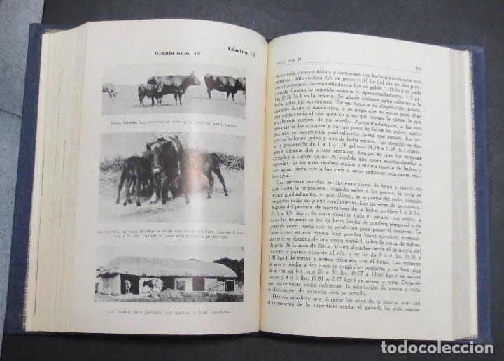 Libros de segunda mano: LA VACA, GRANJAS LECHERAS W.C. FISHWICK E. S&Aacute;NCHEZ SAENZ EDITORIAL TECNOS A&Ntilde;O 1964 - Foto 5