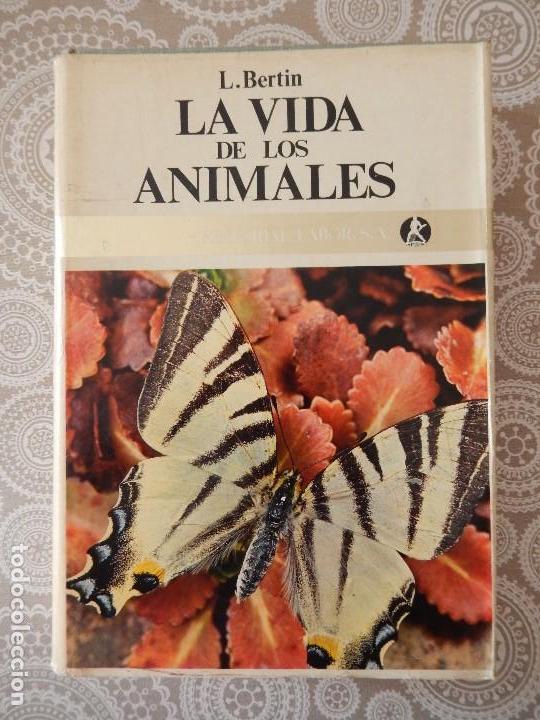 Libros de segunda mano: LA VIDA DE LOS ANIMALES - LEON BERTIN - EDITORIAL LABOR - TOMOS 1 Y 2 - Foto 3