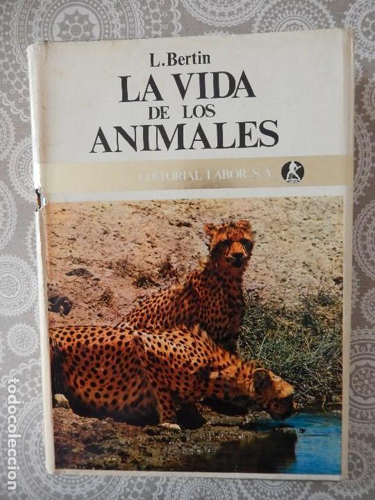 Libros de segunda mano: LA VIDA DE LOS ANIMALES - LEON BERTIN - EDITORIAL LABOR - TOMOS 1 Y 2 - Foto 1