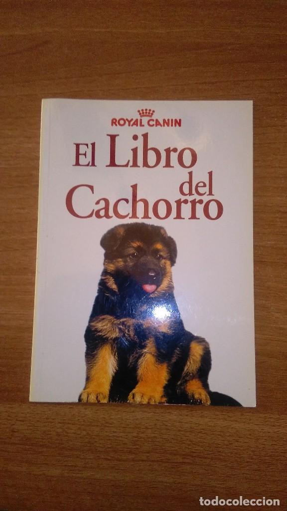 Libros de segunda mano: EL LIBRO DEL CACHORRO -- ROYAL -- CANIN - Foto 1