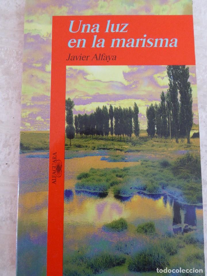 Libros de segunda mano: UNA LUZ EN LA MARISMA. JAVIER ALFAYA - Foto 1