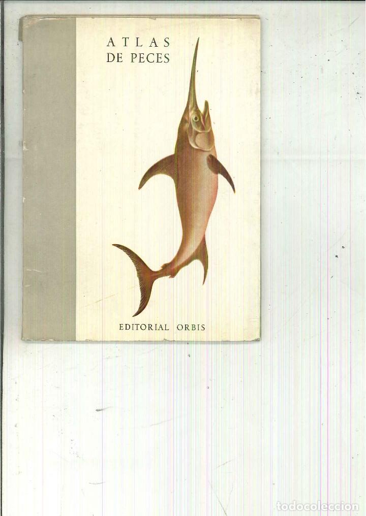 Livres d'occasion: ATLAS DE PECES. Dr. Busquets S&aacute;nchez