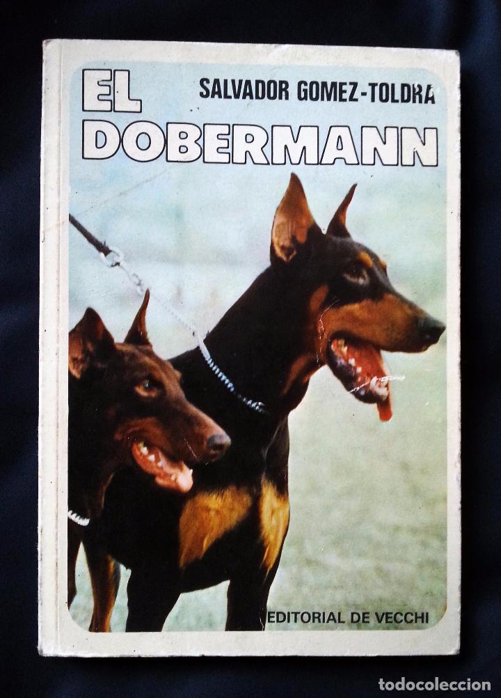 Libros de segunda mano: EL DOBERMANN - SALVADOR G&Oacute;MEZ-TOLDRA - DE VECCHI 1976 - Foto 1