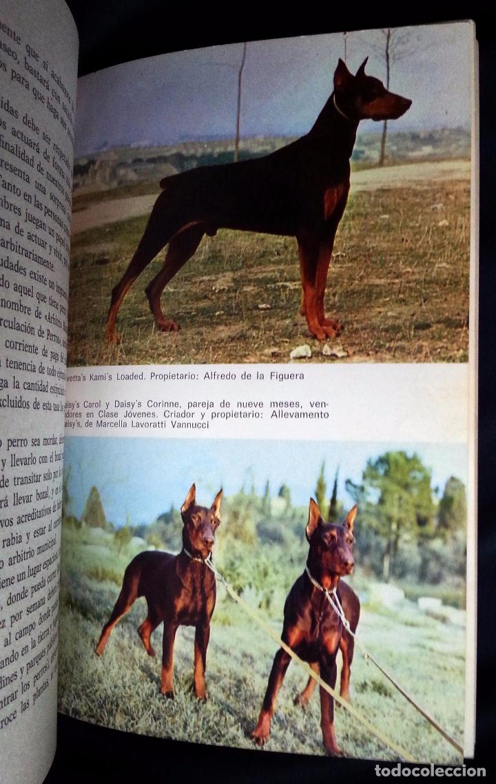 Libros de segunda mano: EL DOBERMANN - SALVADOR G&Oacute;MEZ-TOLDRA - DE VECCHI 1976 - Foto 6