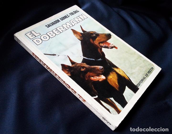 Libros de segunda mano: EL DOBERMANN - SALVADOR G&Oacute;MEZ-TOLDRA - DE VECCHI 1976 - Foto 8