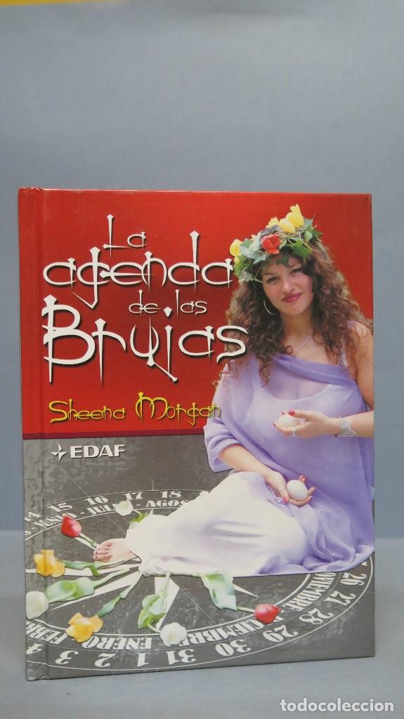 Libros de segunda mano: LA AGENDA DE LAS BRUJAS. SHEENA MORGAN - Foto 1
