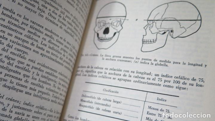 Libros de segunda mano: INTRODUCCION A LA ANTROPOLOGIA. VV.AA - Foto 3